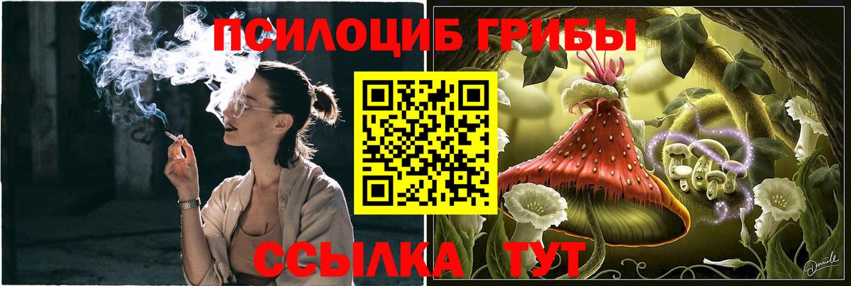 Сланцы  Галлюциногенные грибы мухоморы  Галлюциногенные грибы GOLDEN TEACHER  Вход с VPN 
